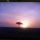 Illustration for article titled 4K TV Throwdown, Part One: How the Sharp UD27 Stacks Up